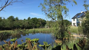A house with a pond, surrounded by greenery and trees.