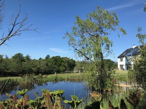 Une maison avec un étang, entourée de verdure et d’arbres.