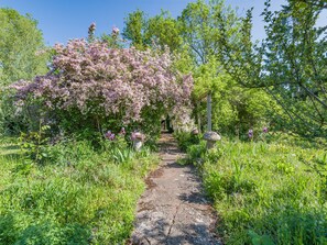 Property grounds - 3 bedroom accommodation in Callow End, Worcester (Callow End, Worcester)