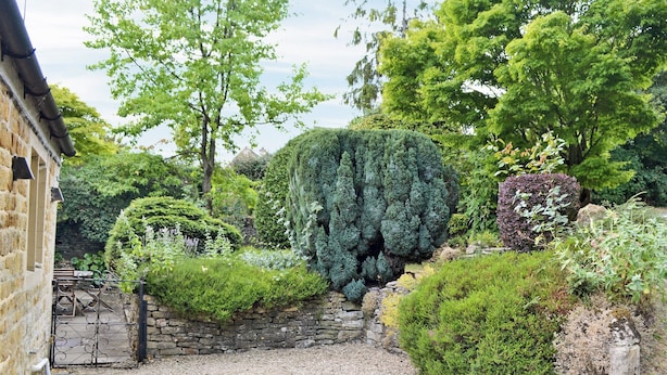 A garden with a stone wall, various shrubs, and trees. - 3 bedroom accommodation in Icomb, near Stow-on-the-Wold (Icomb, near Stow-on-the-Wold)