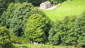 Una casa de piedra rodeada de abundante vegetación y un patio cercado.