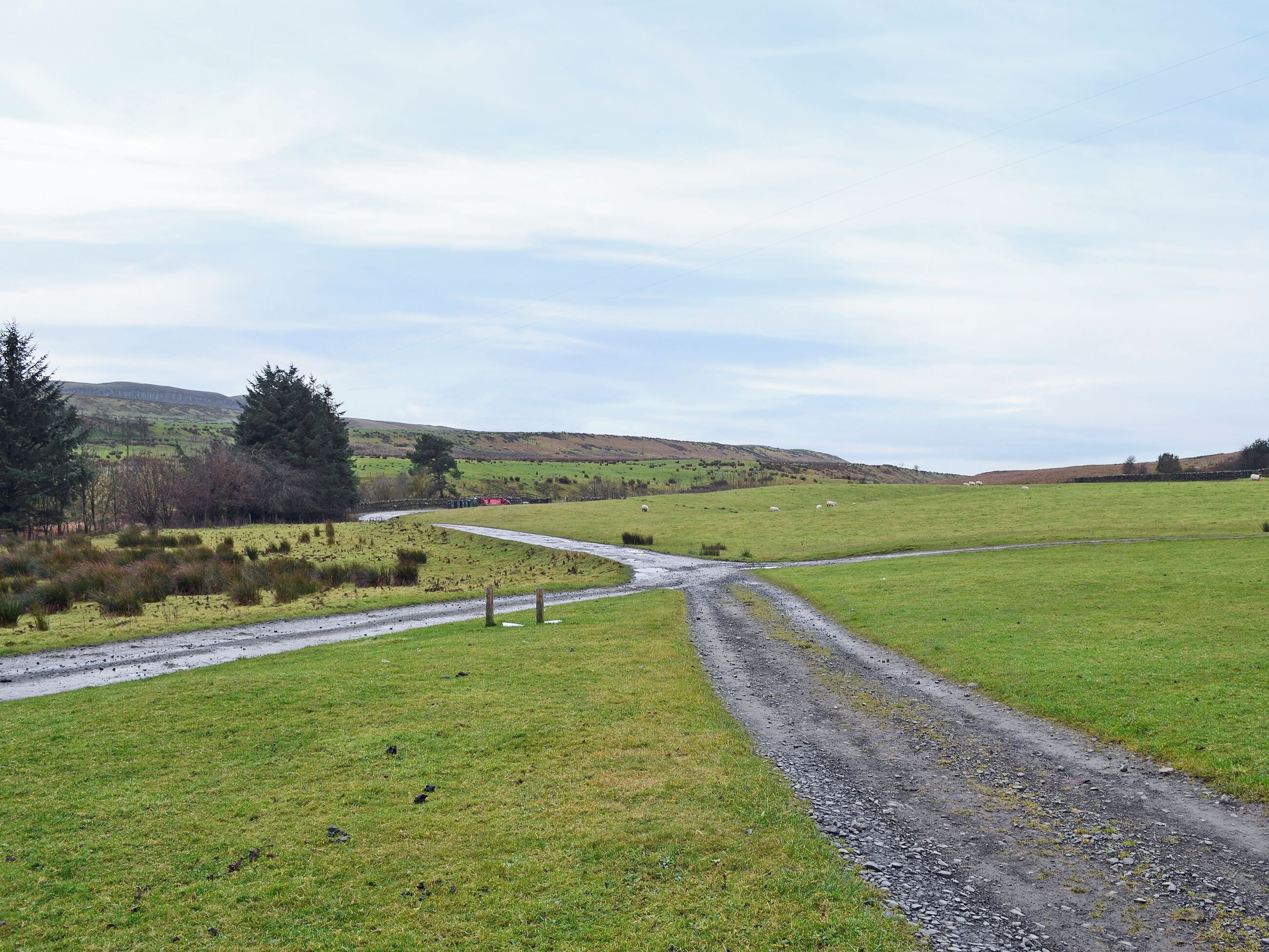 A rural landscape with a gravel path leading through a green field, surrounded by trees and hills.