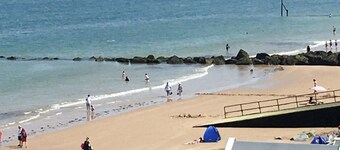 Little Seahorse - UKC1066