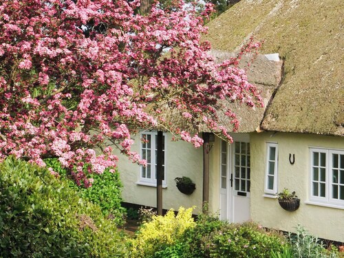 2 bedroom accommodation in Otterton