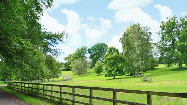 Ländliche Landschaft mit einer kurvenreichen Straße, einem Holzzaun und einem grasbewachsen Feld mit Bäumen.