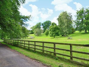 A rural landscape with a winding road, a wooden fence, and a grassy field with trees. - 3 bedroom accommodation in Minto, near Hawick (Minto, near Hawick)