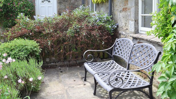 A stone building with a white door, a bench, and various plants. - 3 bedroom accommodation in Burnsall (Burnsall)