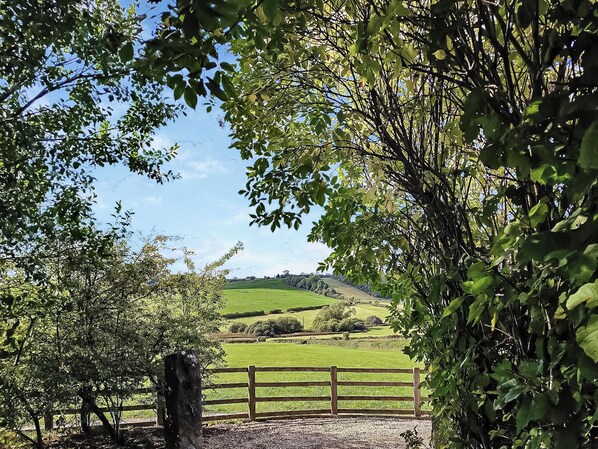 Paisaje rural con una valla de madera, árboles y un campo verde.