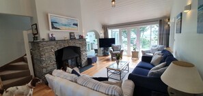 Smart TV, fireplace, DVD player, books