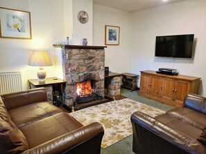 TV, fireplace