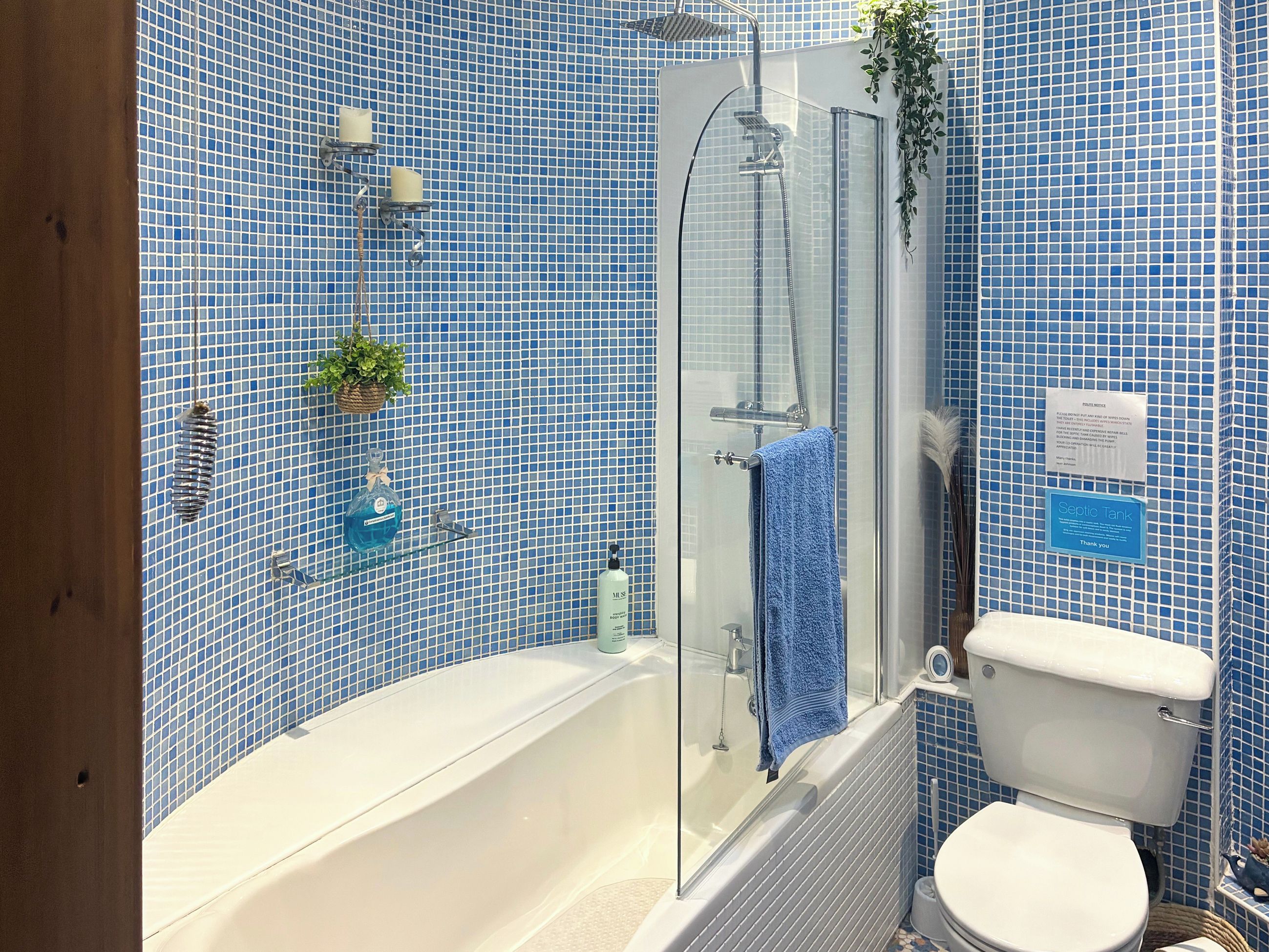 A bathroom with a glass-enclosed shower, a bathtub, and a toilet.