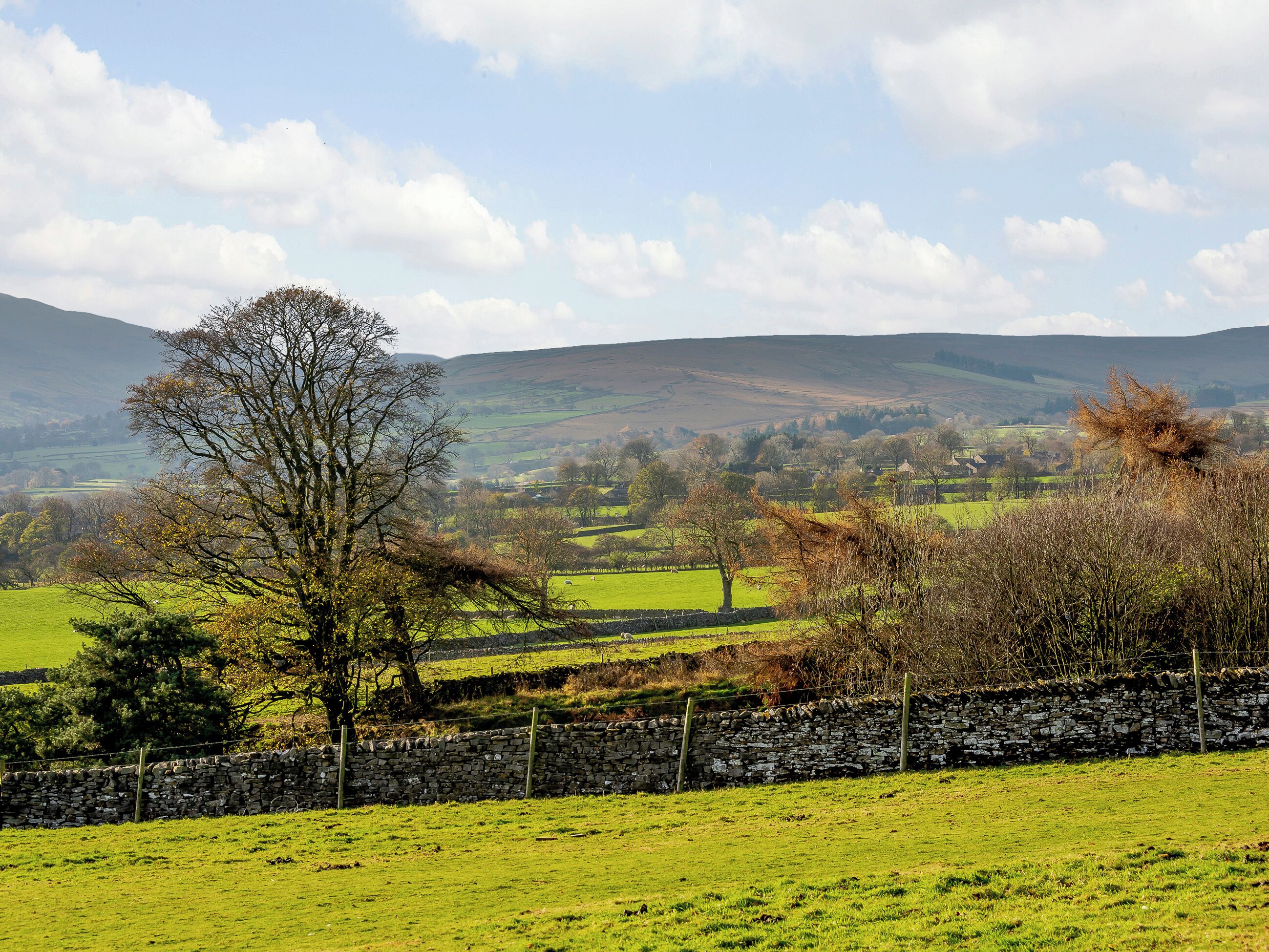 A rural landscape with a stone wall, green fields, and a tree in the foreground.