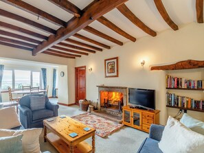 Fernseher, Kamin