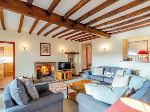 Fernseher, Kamin