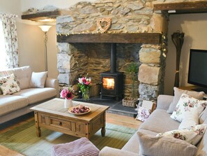 TV, fireplace