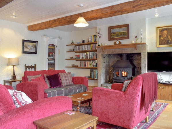 TV, fireplace
