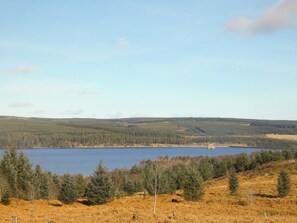 Unclassified image, 5 of 12, button - 2 bedroom accommodation in Falstone, near Kielder (Falstone, near Kielder)