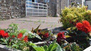 A stone building with a white gate, a flower bed with red and yellow flowers, and a small bush with pink flowers. - 2 bedroom accommodation in Near Keswick (Near Keswick)