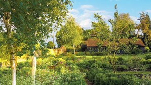 Een tuin met een houten terras, een huis met rieten dak en weelderige begroeiing.