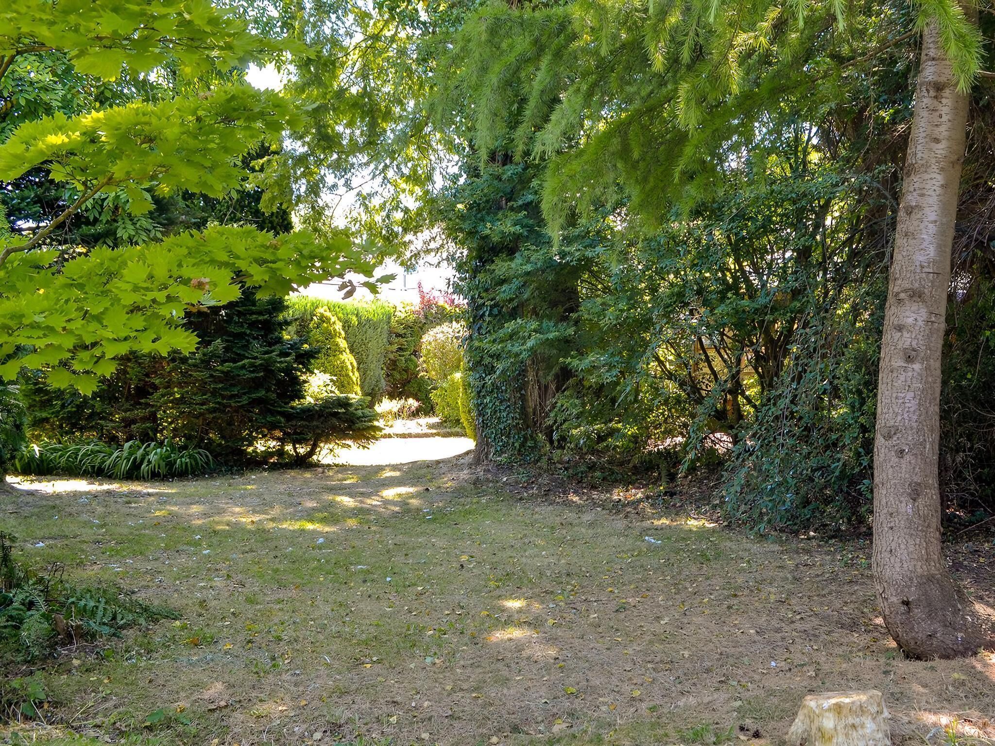 A garden with a variety of trees and shrubs, a dirt path, and a small clearing.