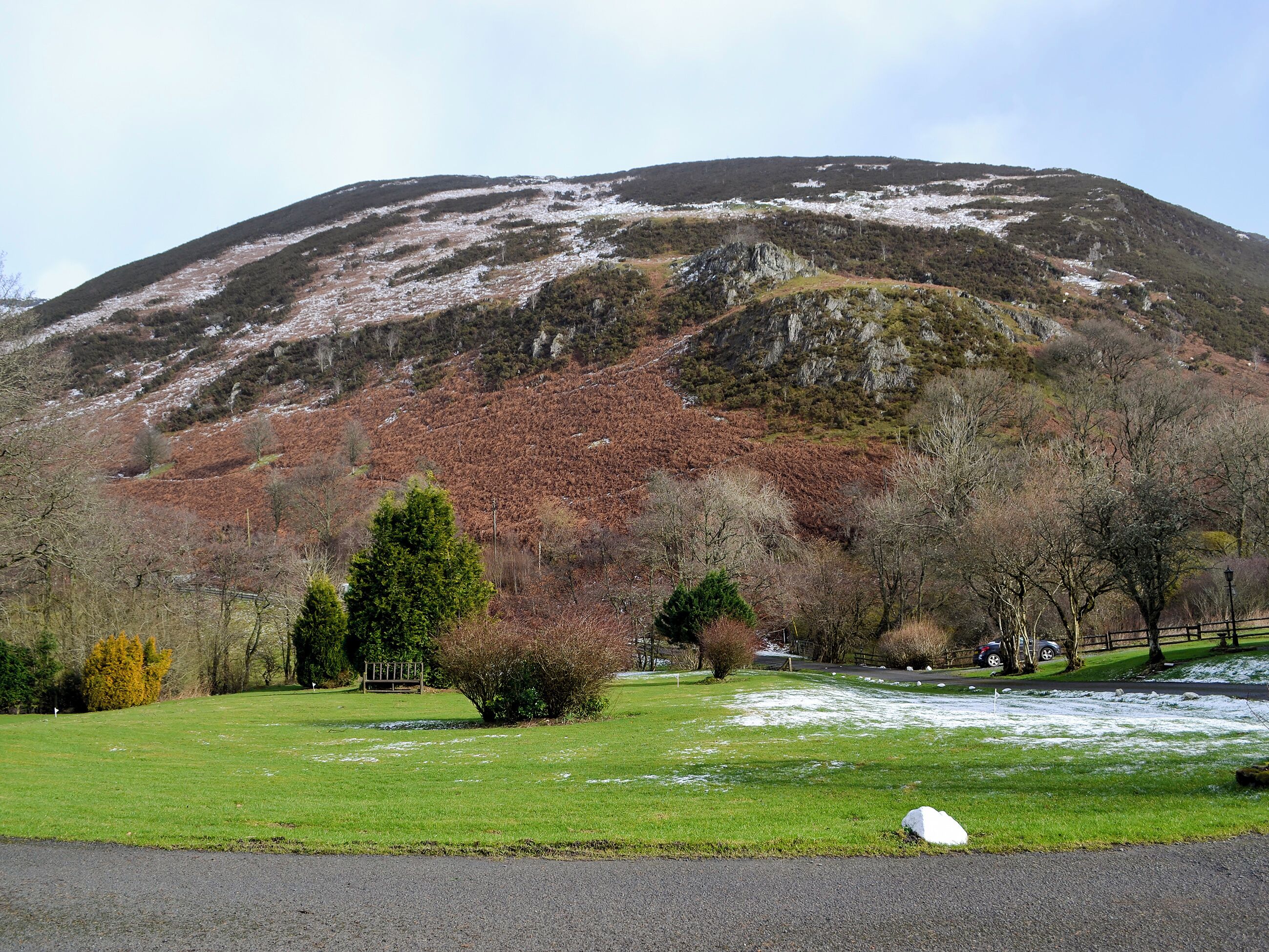 A grassy field with a mountain in the background.