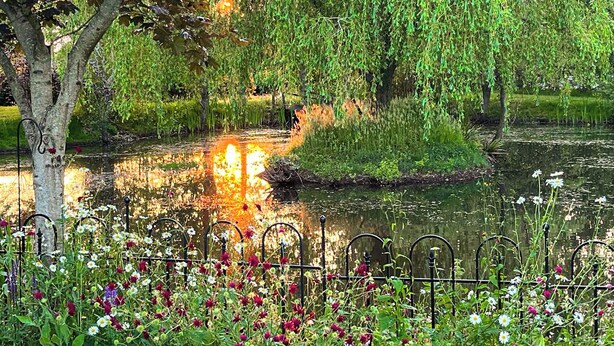 A serene garden with a pond, surrounded by lush greenery and flowering plants.