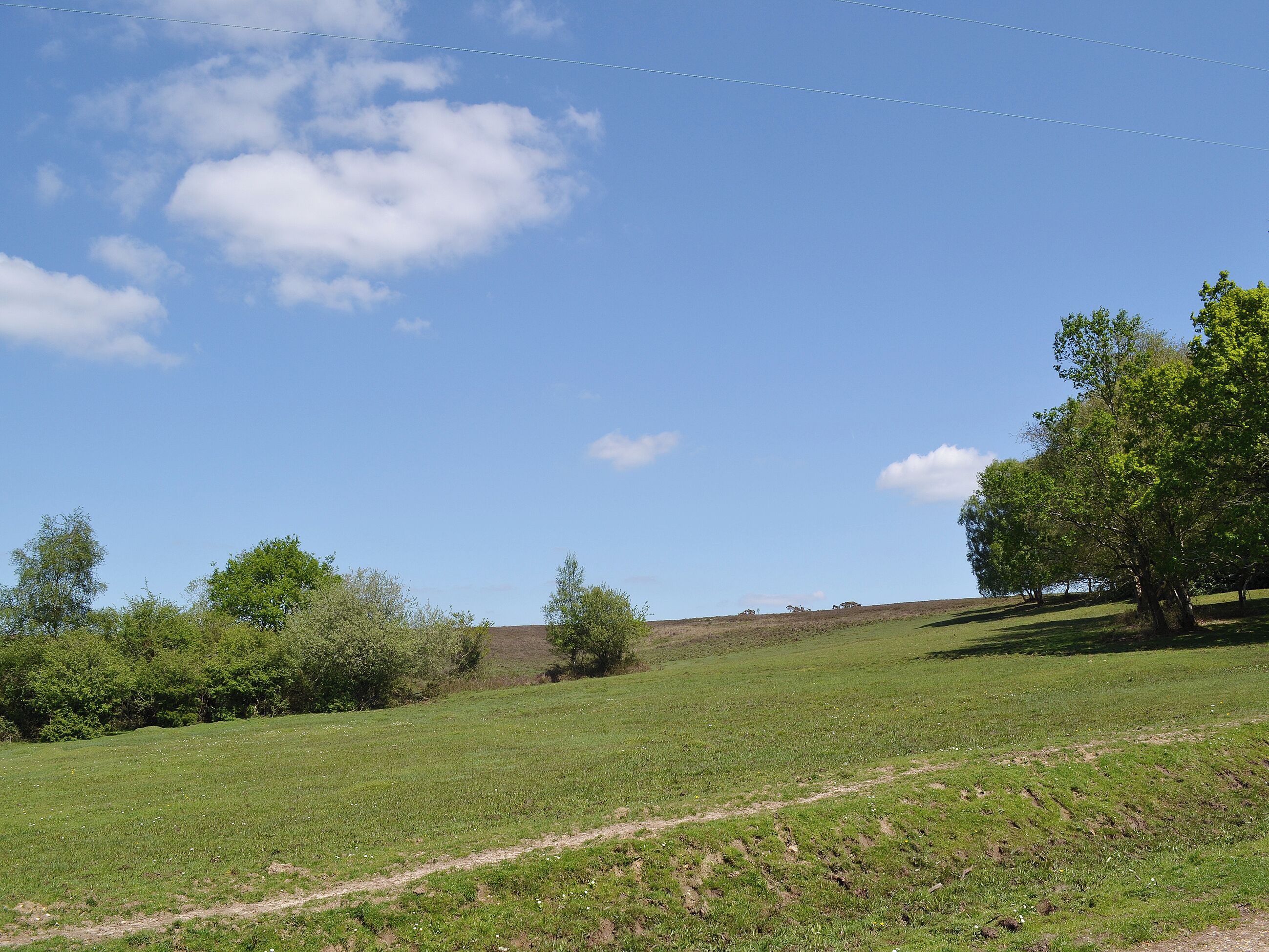 Un campo cubierto de hierba con un sendero de tierra, árboles y un cielo azul despejado.