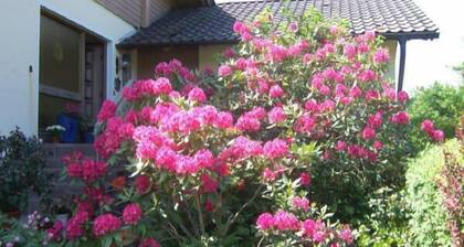 Enjoy your holiday in the contemplative Böbrach in ArberLand near Bodenmais.