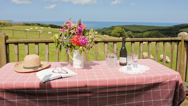 A table with a checkered tablecloth, a bottle, glasses, a hat, and a book. - 4 bedroom accommodation in Fairy Cross, Bideford (Fairy Cross, Bideford)