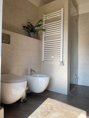 Combined shower/tub, hair dryer, bidet, towels