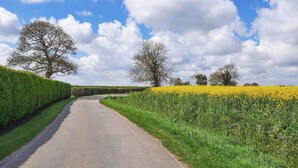 A rural road flanked by neatly trimmed hedges and fields of yellow flowers. - 1 bedroom accommodation in Mumby, near Anderby Creek (Mumby, near Anderby Creek)