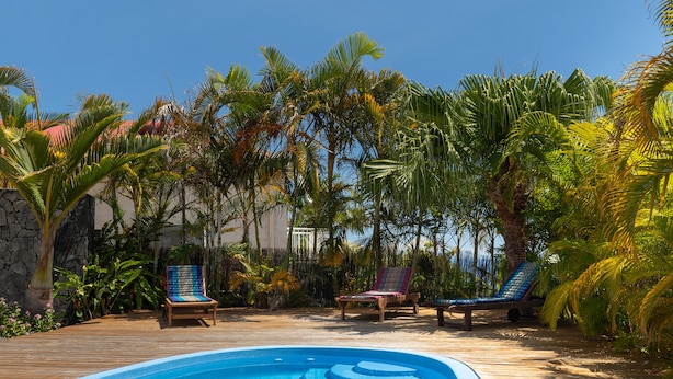 Une piscine avec des chaises longues et des palmiers.