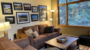 TV connectée, cheminée, livres, vidéothÚque