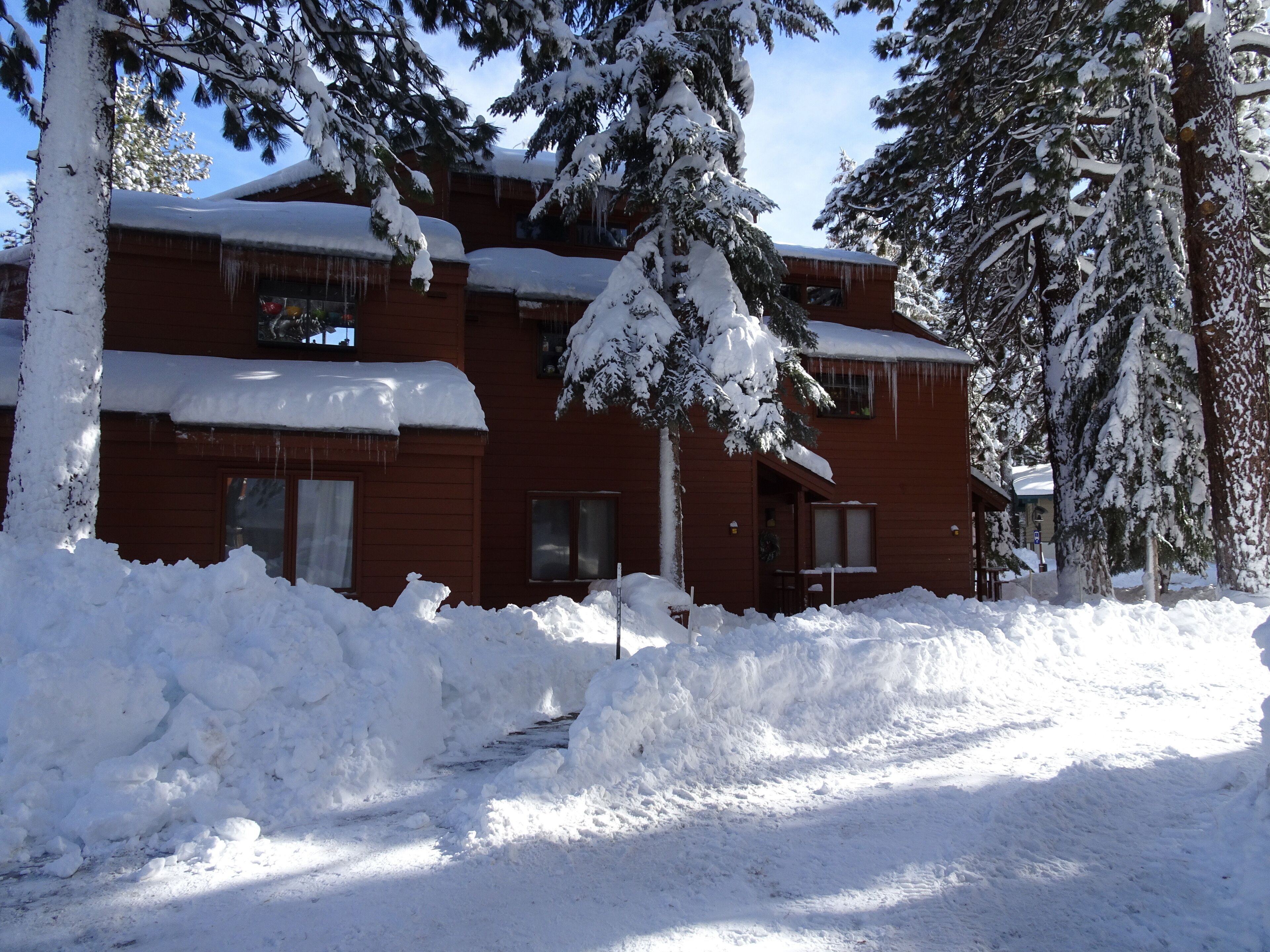 Un edificio de dos pisos rodeado de árboles cubiertos de nieve.