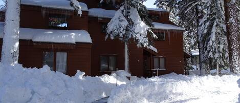 Un edificio de dos pisos rodeado de árboles cubiertos de nieve.