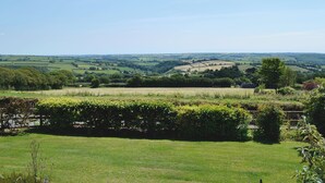 Un paysage rural avec des collines douces, des champs et une haie au premier plan.