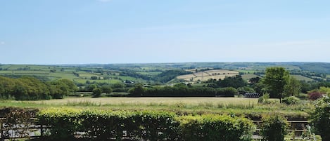 A rural landscape with rolling hills, fields, and a hedge in the foreground.