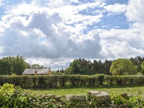 A rural landscape with a house, hedges, and a stone wall.