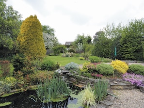 A garden with a pond, various plants, and a tall coniferous tree.