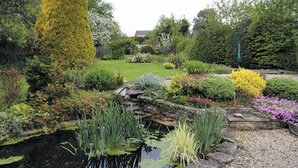 Een tuin met een vijver, verschillende planten en een hoge naaldboom.