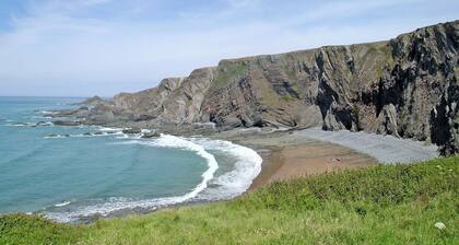 4 makuuhuoneen majoitusta Bude