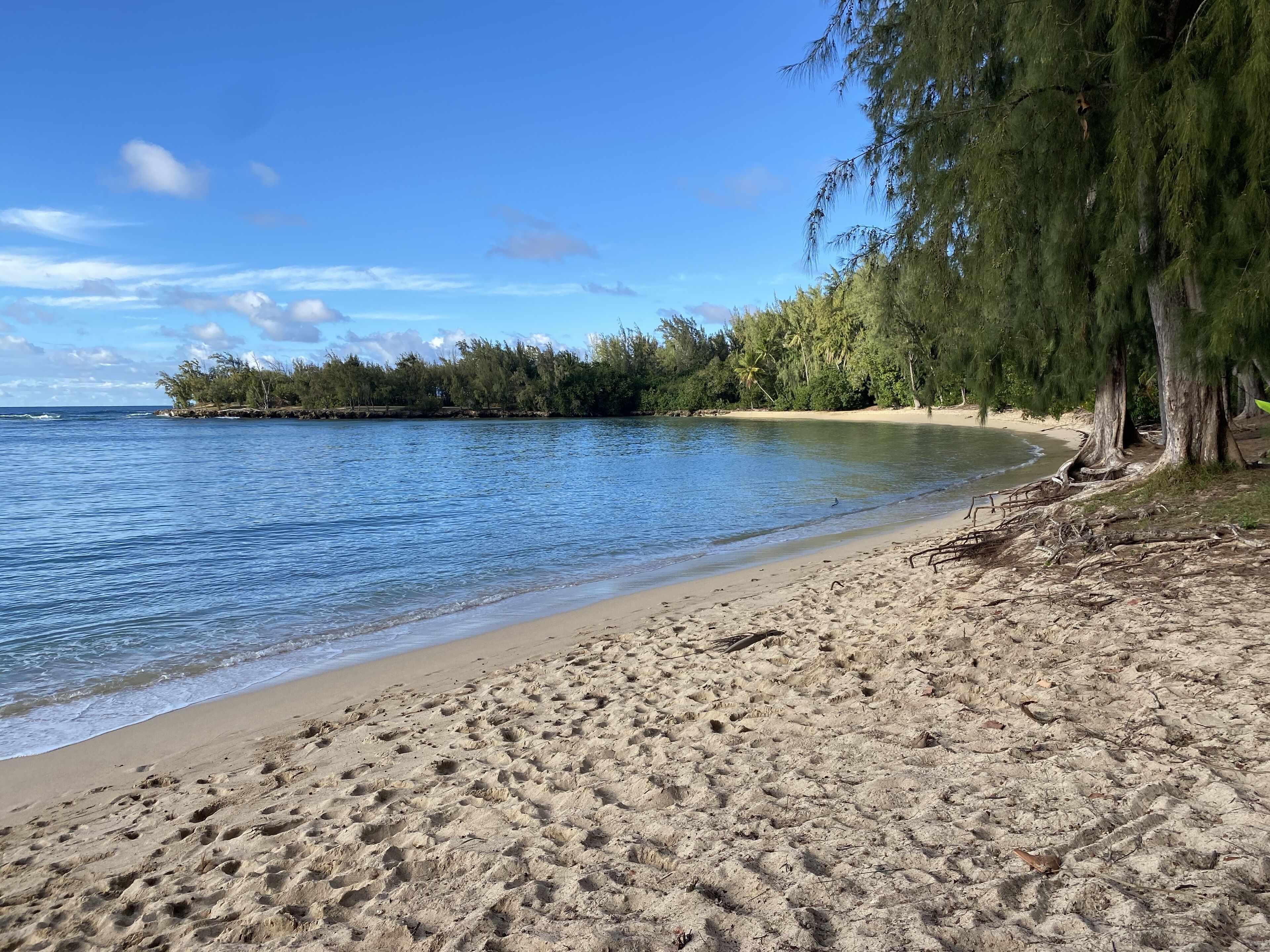 Une plage avec une eau d’un bleu limpide, un rivage sablonneux et des arbres.