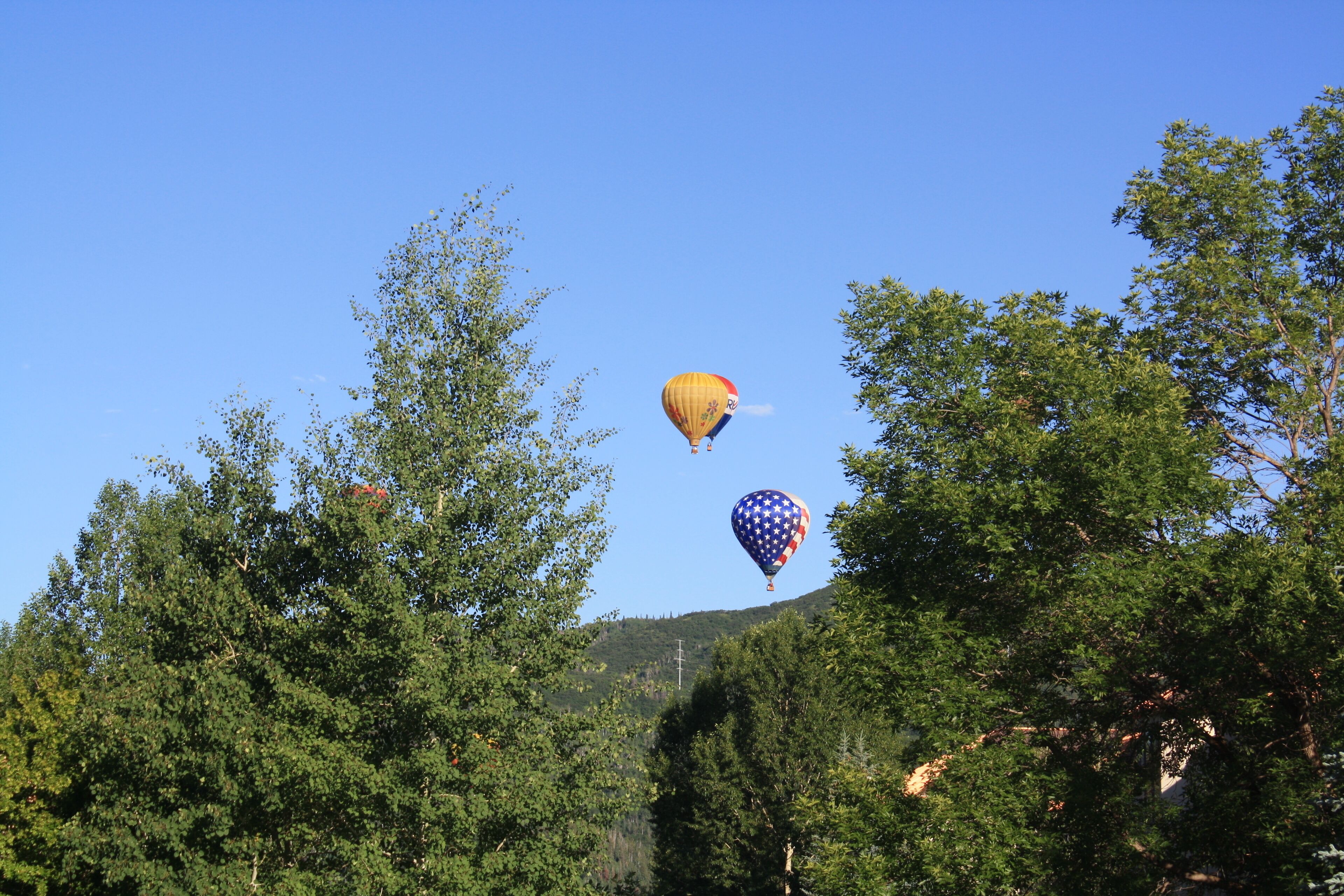 Zwei Heißluftballons fliegen über einer bewaldeten Landschaft bei strahlendem Himmel.