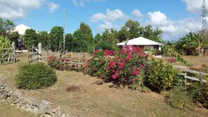 A rural landscape with a small white house surrounded by flowering plants and trees.