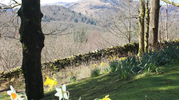 A landscape with a stone wall, trees, and a view of distant hills. - An apartment situated in mature woodlands just 3 miles from Ambleside. (Skelwith Bridge, Ambleside)