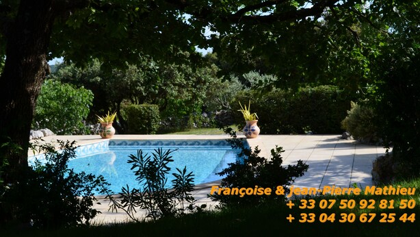 Una piscina circondata da alberi e piante in vaso.