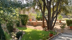 Un giardino con un vialetto in pietra, piante in vaso e un’area verde.