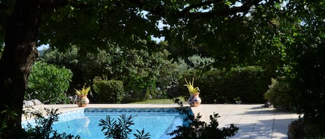 Ein Pool, umgeben von Bäumen und Kübelpflanzen.