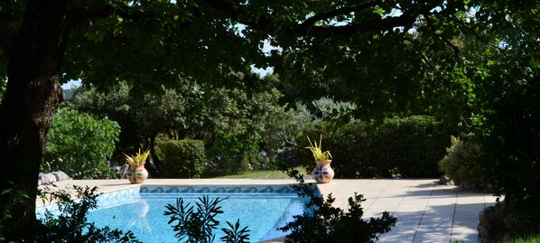 Une piscine entourée d’arbres et de plantes en pot.