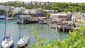 A coastal town with a marina, houses, and greenery. - Puffin Burrow, a beautiful historic couples retreat overlooking the Cove. (Portmellon, near Mevagissey)